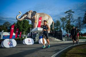 BIB: 
                            <button type="button" onclick="openModal(26541610)" class="btn btn-primary btn-sm float-right btn-popup" data-toggle="modal" data-target=".modal-high-quality">
                        <i class="fas fa-shopping-cart"></i> Add to Cart
                    </button>
                                            <button type="button" onclick="isThisMe(26541610, true)" class="btn btn-success btn-sm float-right btn-popup btn-isme hidden" data-toggle="tooltip" data-placement="bottom" title="นี่คือรูปของคุณใช่ไหม คลิกที่นี่เพื่อเอาเข้าอัลบั้ม">
                        <i class="fas fa-plus"></i> Add to album
                    </button>
                    <button type="button" onclick="isThisMe(26541610, false)" class="btn btn-warning btn-sm float-right btn-popup btn-isnotme hidden">
                        <i class="fas fa-ban"></i> Remove from album
                    </button>